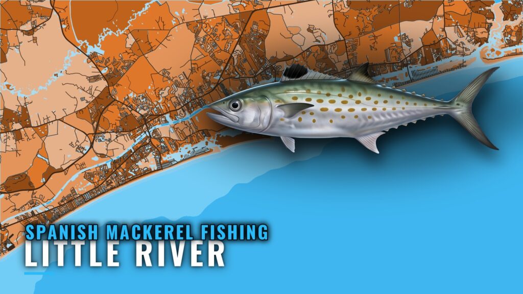 Spanish mackerel fishing out of Little River, SC