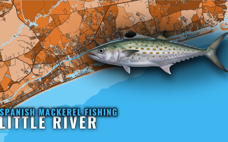 Spanish mackerel fishing out of Little River, SC