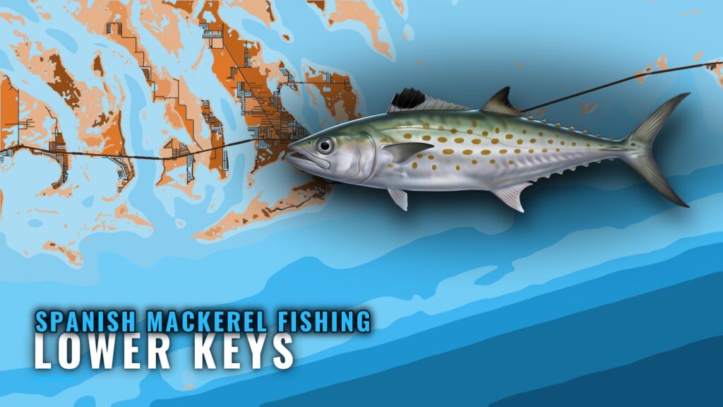 Spanish Mackerel Fishing Out of Lower Keys: Where to Run