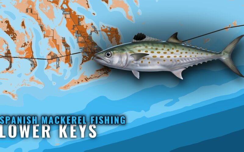 Spanish Mackerel Fishing Out of Lower Keys: Where to Run