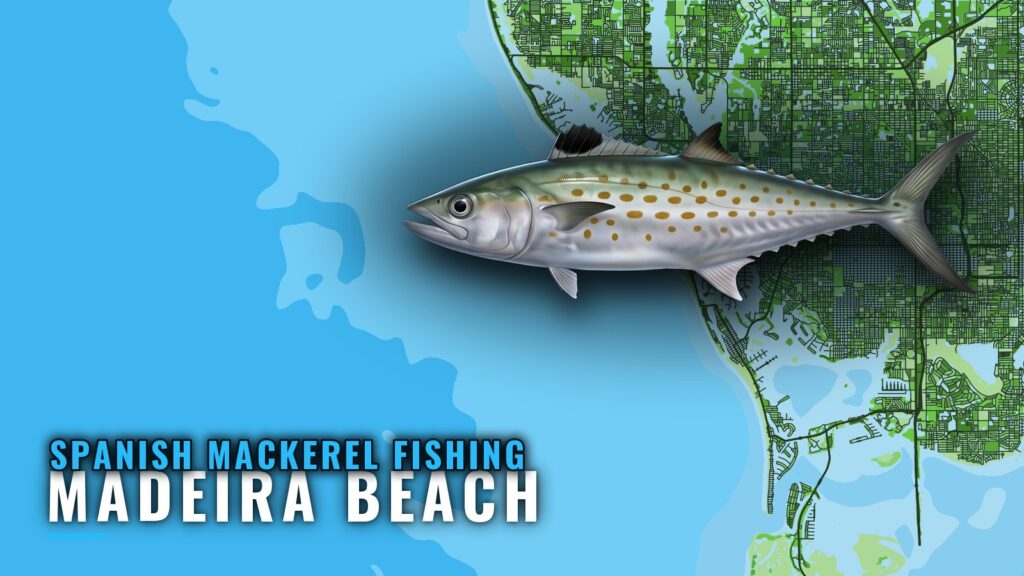 Spanish mackerel fishing out of Madeira Beach: reefs, rules