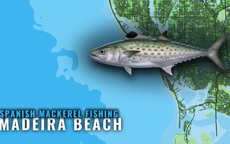 Spanish mackerel fishing out of Madeira Beach: reefs, rules