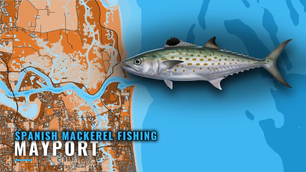 Spanish mackerel fishing out of Mayport: reefs and depths