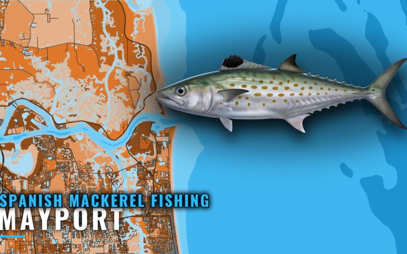 Spanish mackerel fishing out of Mayport: reefs and depths