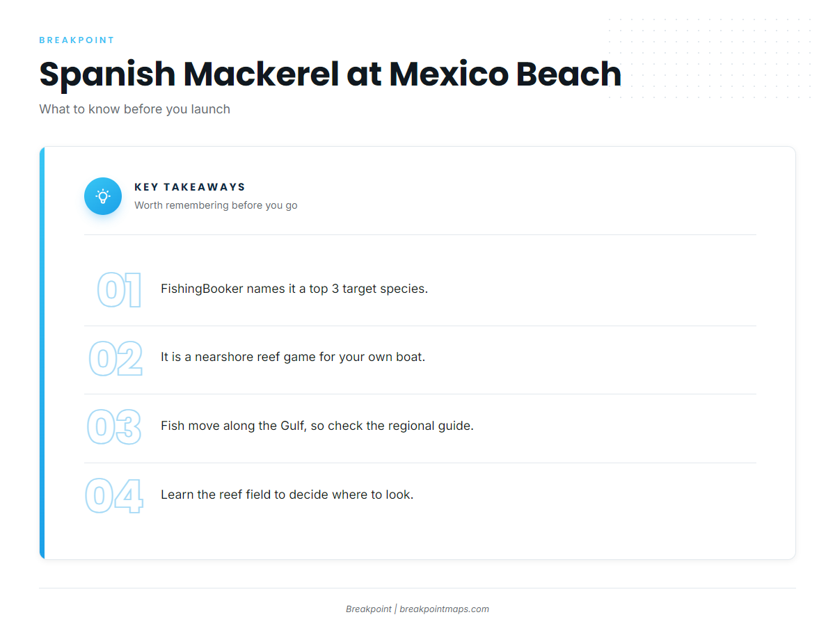 Spanish mackerel at Mexico Beach