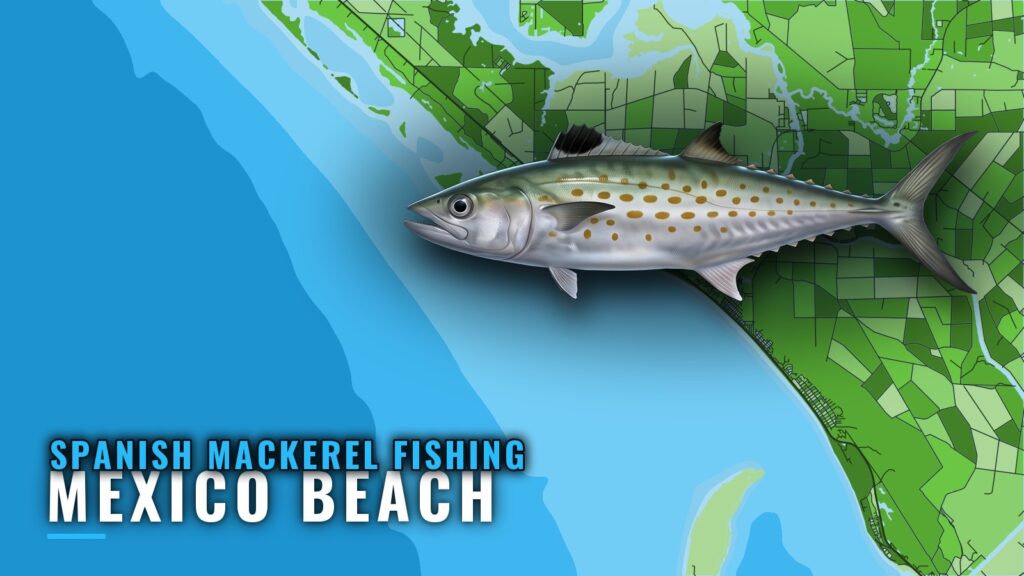 Spanish Mackerel Fishing Out of Mexico Beach, Florida