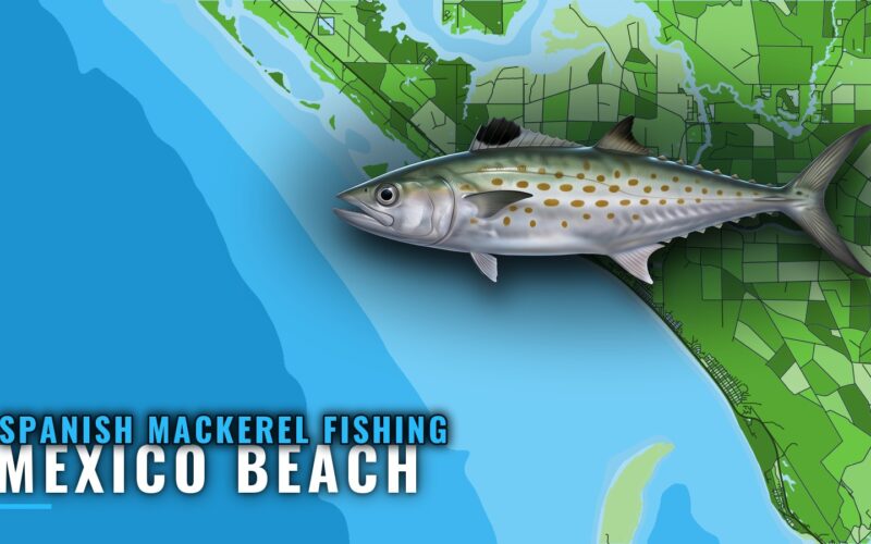 Spanish Mackerel Fishing Out of Mexico Beach, Florida