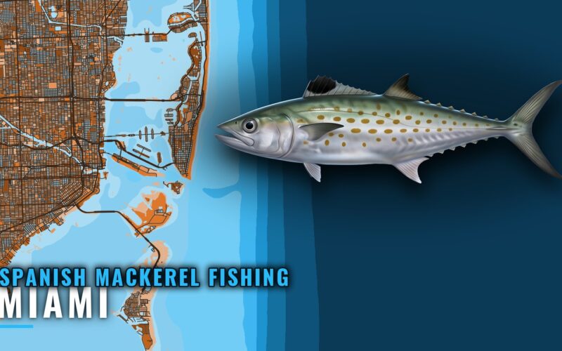 Spanish mackerel fishing out of Miami: grounds and runs
