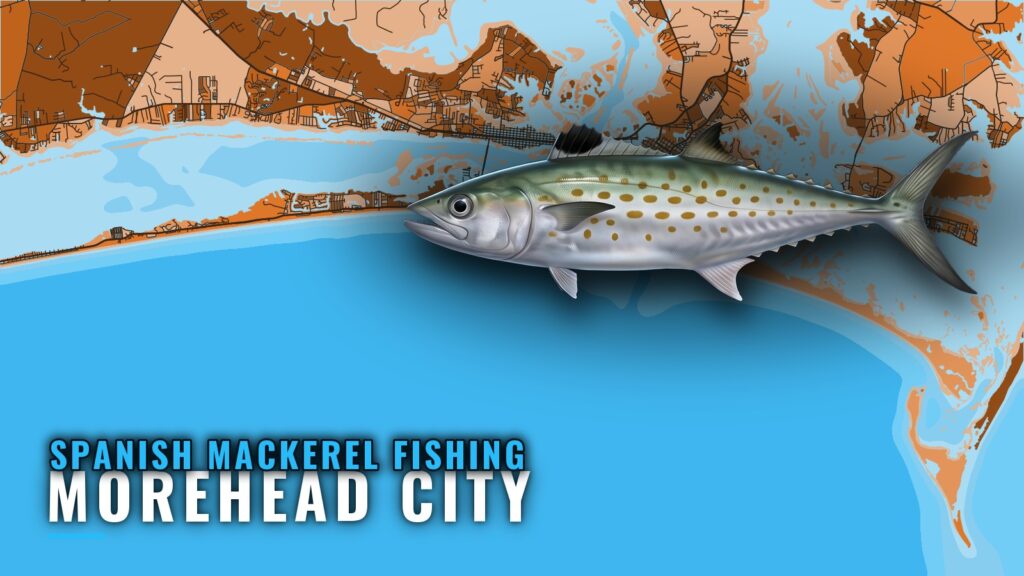 Spanish Mackerel Fishing Out of Morehead City: Reefs, Runs