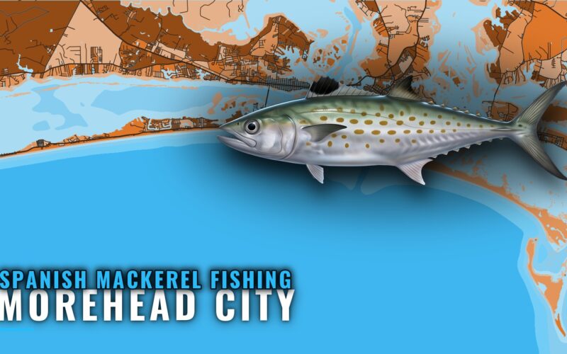 Spanish Mackerel Fishing Out of Morehead City: Reefs, Runs