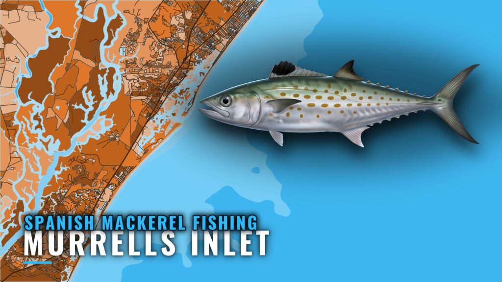 Spanish Mackerel Fishing Out of Murrells Inlet, SC