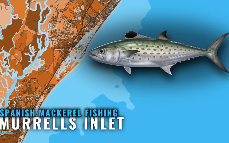 Spanish Mackerel Fishing Out of Murrells Inlet, SC