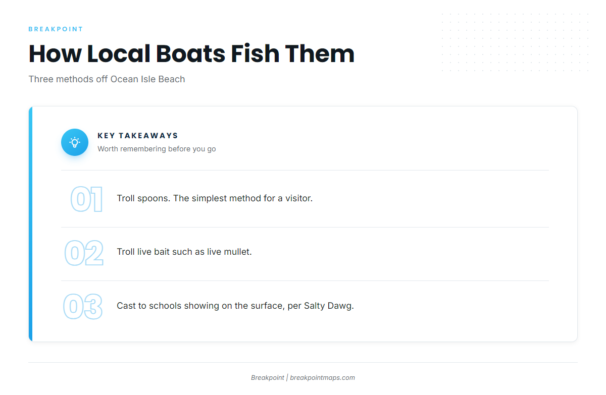 How Spanish mackerel are fished here