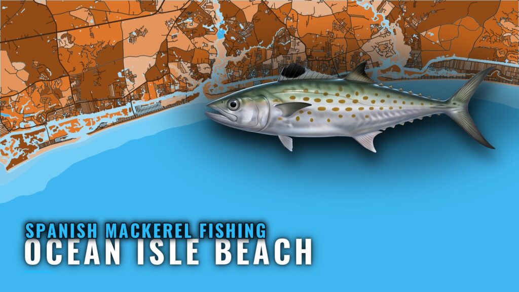 Spanish Mackerel Fishing Out of Ocean Isle Beach, NC