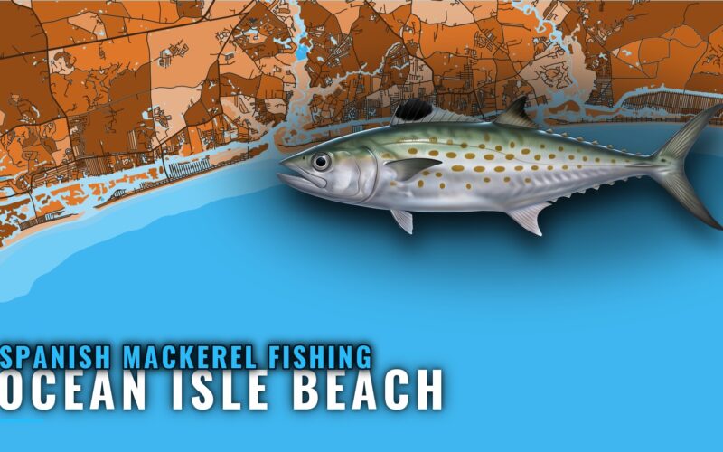 Spanish Mackerel Fishing Out of Ocean Isle Beach, NC