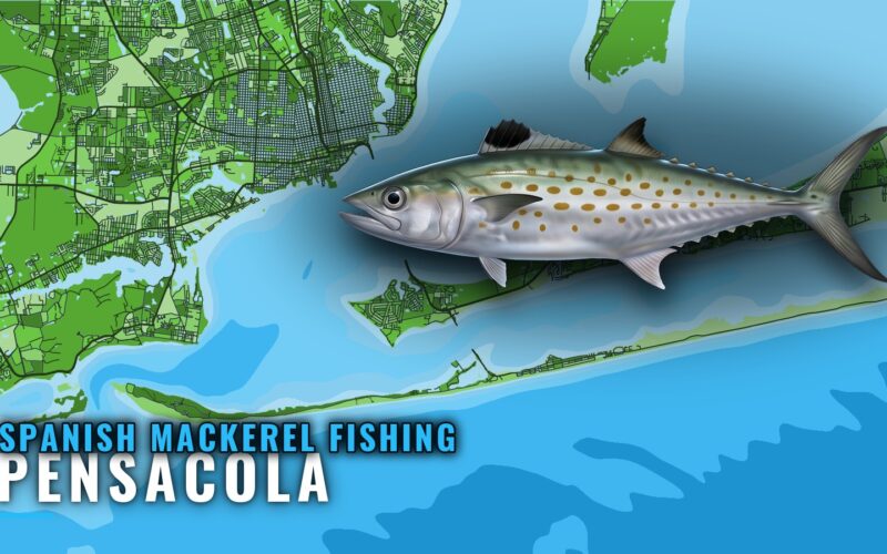 Spanish Mackerel Fishing Out of Pensacola: Reefs and Range