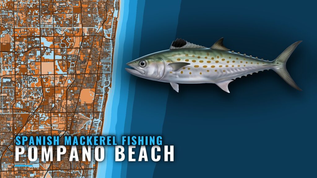 Spanish Mackerel Fishing out of Pompano Beach: Where to Run