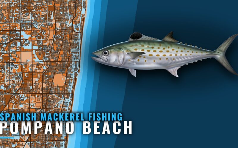 Spanish Mackerel Fishing out of Pompano Beach: Where to Run