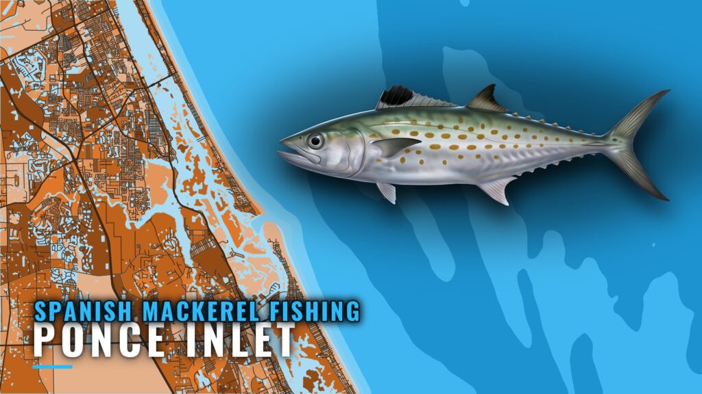 Spanish Mackerel Fishing out of Ponce Inlet: Where to Run