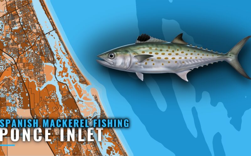 Spanish Mackerel Fishing out of Ponce Inlet: Where to Run