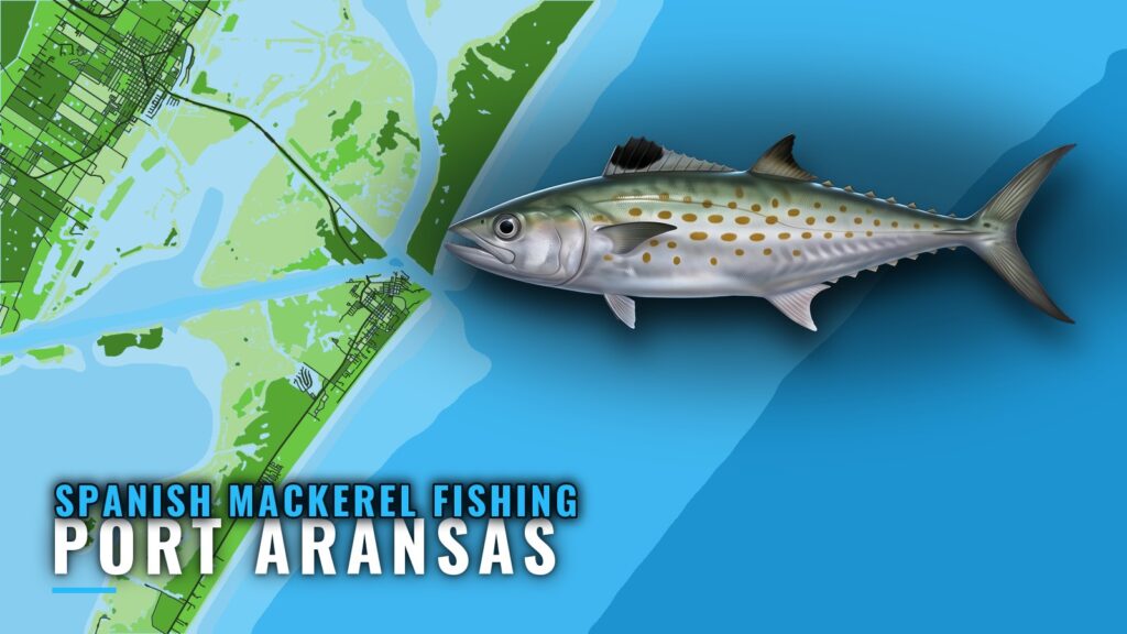 Spanish Mackerel Fishing Out of Port Aransas: Reefs, Season