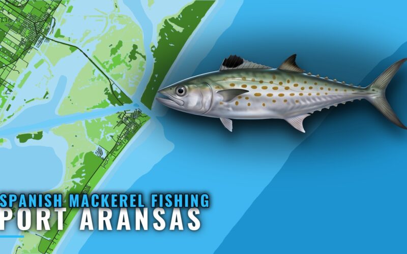 Spanish Mackerel Fishing Out of Port Aransas: Reefs, Season