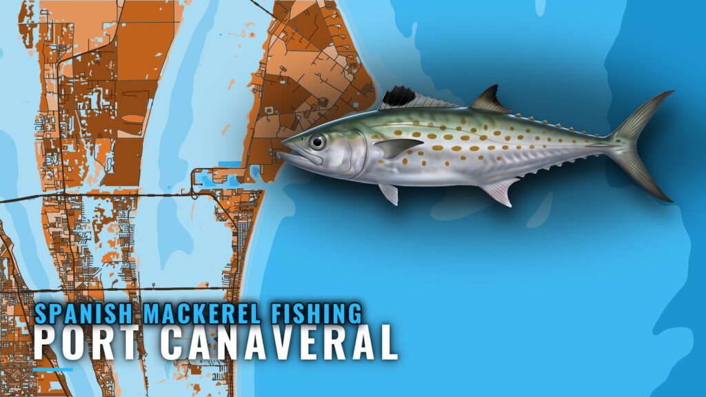 Spanish mackerel fishing out of Port Canaveral: the grounds