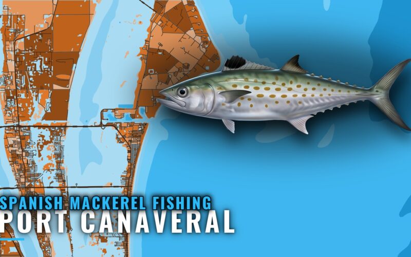 Spanish mackerel fishing out of Port Canaveral: the grounds