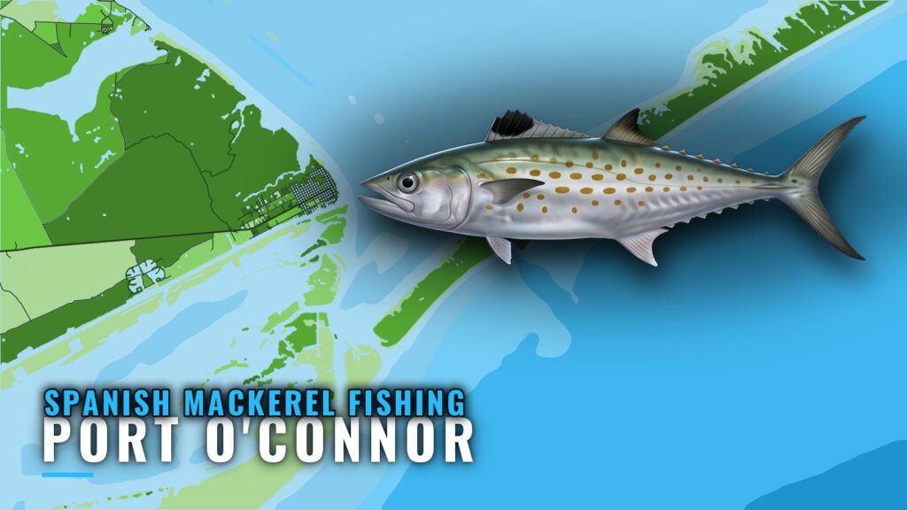 Spanish Mackerel Fishing Out of Port O’Connor, Texas
