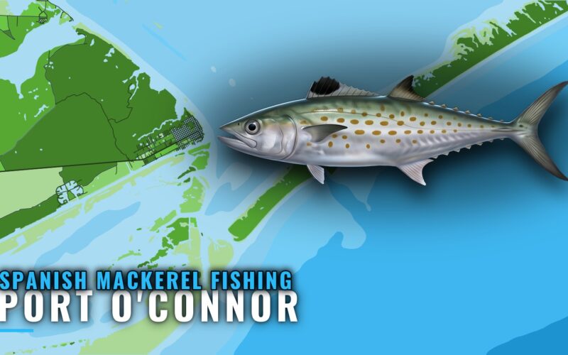 Spanish Mackerel Fishing Out of Port O’Connor, Texas