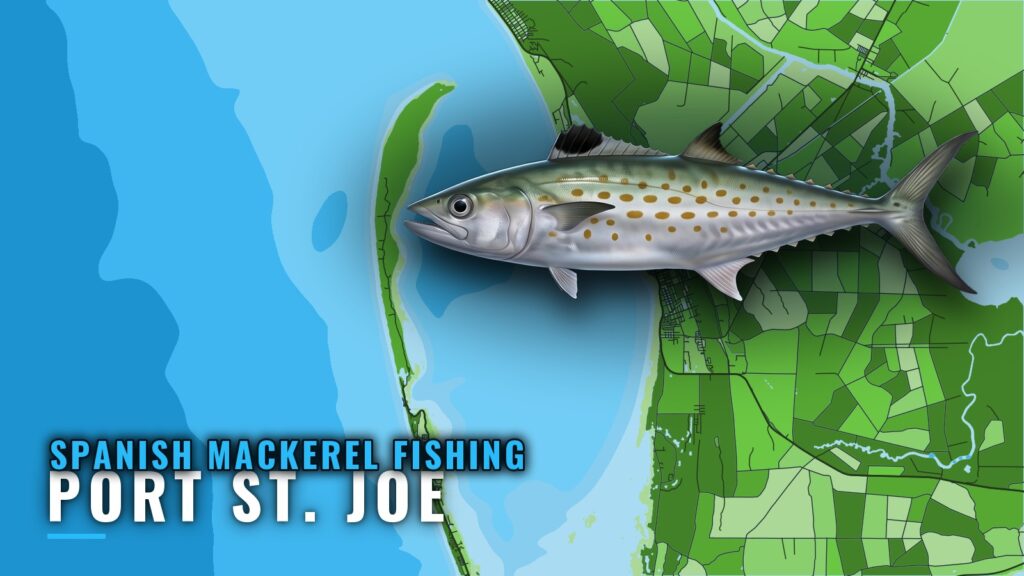 Spanish Mackerel Fishing Out of Port St. Joe: Reefs, Runs