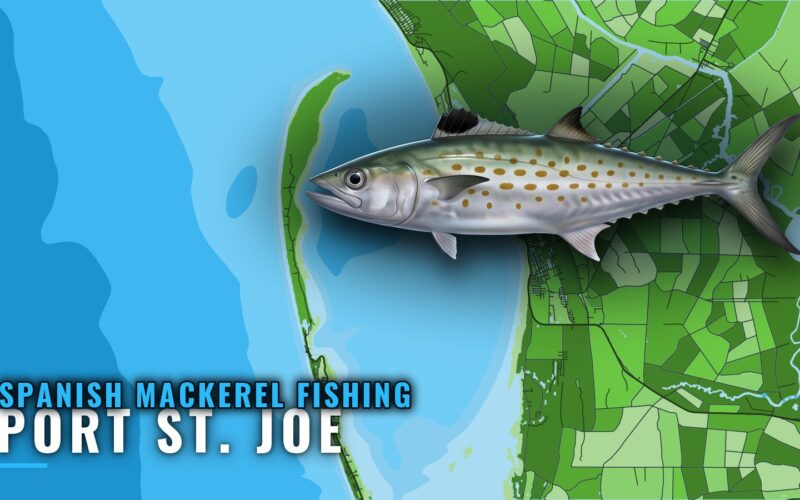 Spanish Mackerel Fishing Out of Port St. Joe: Reefs, Runs