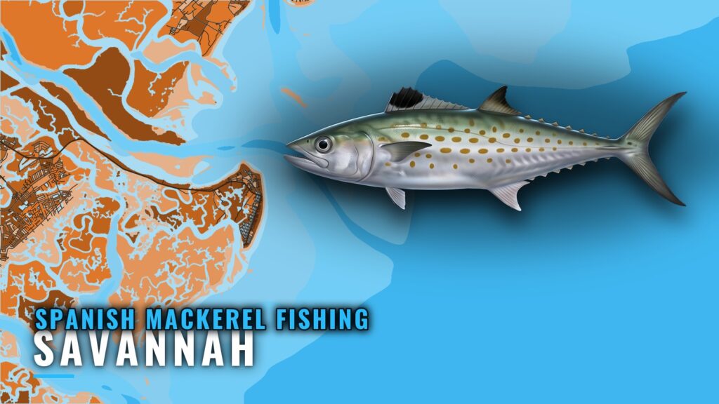 Spanish Mackerel Fishing Out of Savannah: Reefs and Runs