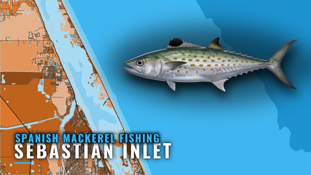 Spanish Mackerel Fishing Out of Sebastian Inlet, Florida