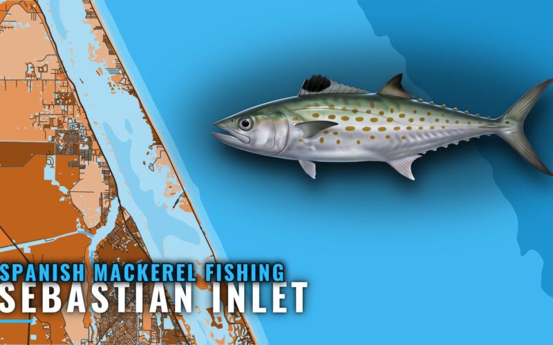Spanish Mackerel Fishing Out of Sebastian Inlet, Florida