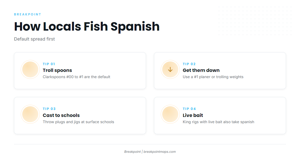 How Spanish are fished here