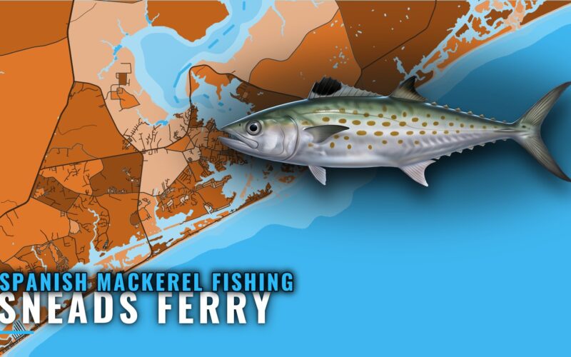Spanish Mackerel Fishing Out of Sneads Ferry: Where to Run