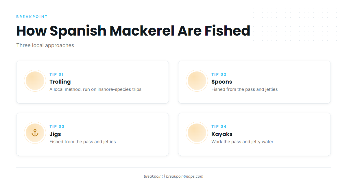 How Spanish mackerel are fished here