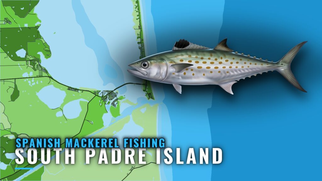 Spanish Mackerel Fishing Out of South Padre Island, TX