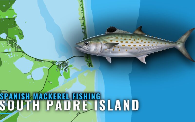 Spanish Mackerel Fishing Out of South Padre Island, TX