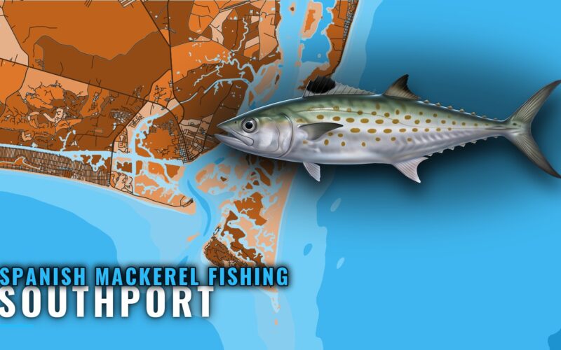 Spanish Mackerel Fishing Out of Southport, NC