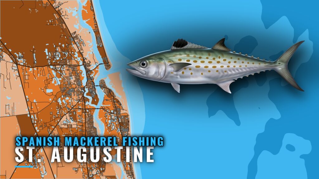 Spanish Mackerel Fishing Out of St. Augustine: Reefs