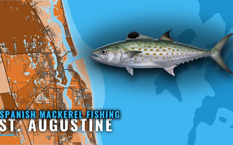 Spanish Mackerel Fishing Out of St. Augustine: Reefs