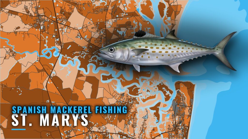 Spanish mackerel fishing out of St. Marys: reefs and runs