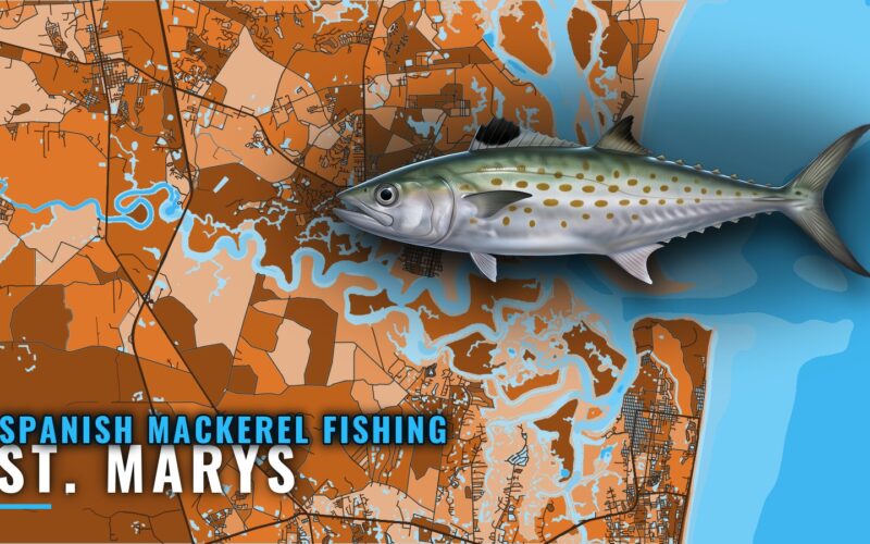 Spanish mackerel fishing out of St. Marys: reefs and runs
