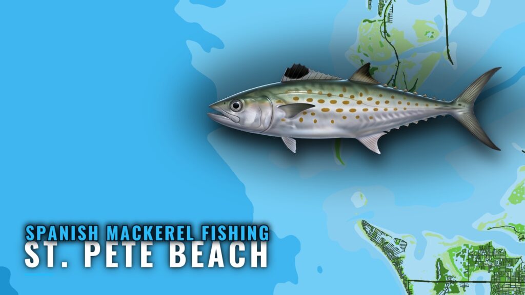 Spanish Mackerel Fishing Out of St. Pete Beach: The Grounds