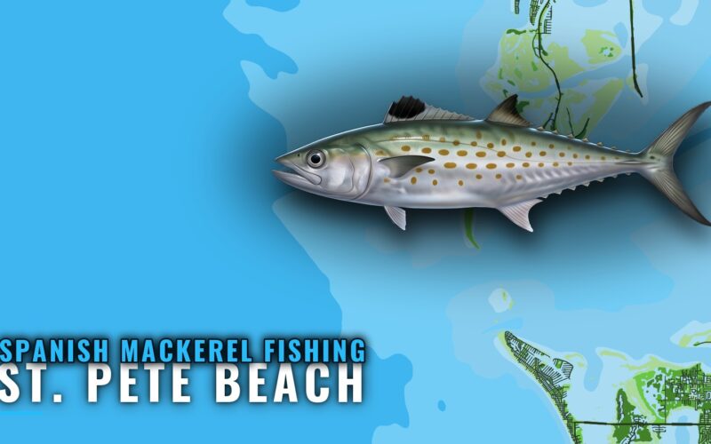 Spanish Mackerel Fishing Out of St. Pete Beach: The Grounds