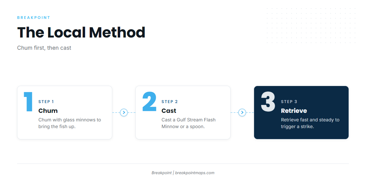 How Spanish mackerel are fished here