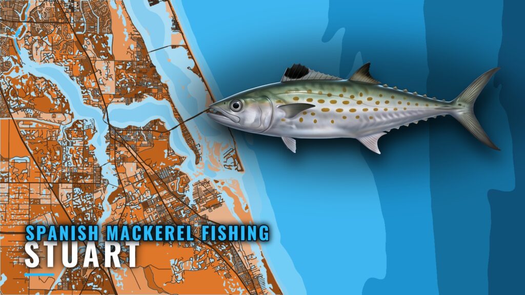 Spanish mackerel fishing out of Stuart: a port guide