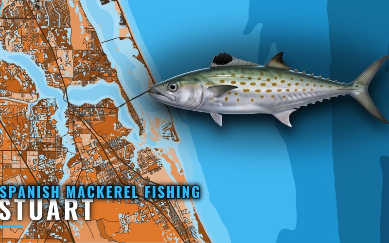 Spanish mackerel fishing out of Stuart: a port guide